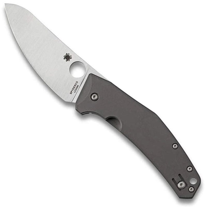 Spydiechef 27ed1e56 712e 444c 9c69 73d76c73d390